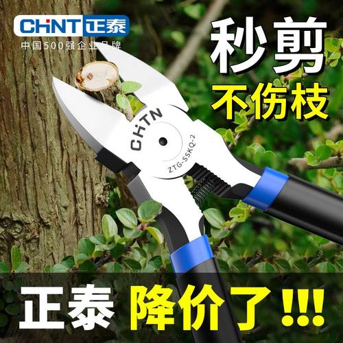 钳子盆景专用工具园艺修枝剪刀水口钳盆栽制作造型叶芽花艺剪刀