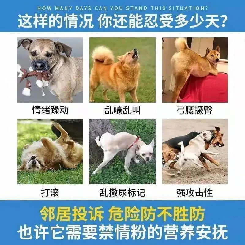 新品狗狗绝育 永久性犬用禁情液狗用品大全宠物用品防止狗发情乱
