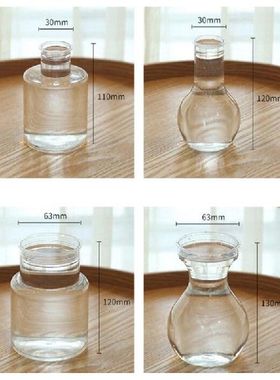 1PC Clear Plastic Hyacinth Vase Transparent Flower Plant