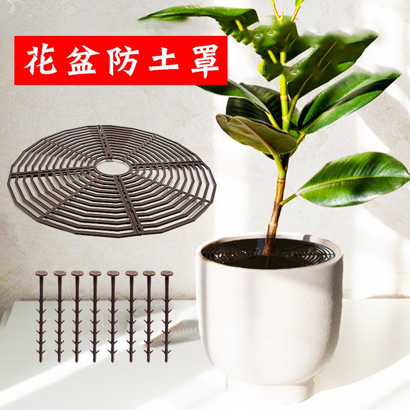 速发植物保鼠罩网盖花盆防老护护土防盆栽固土罩子盖小孩倒出防猫