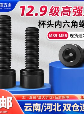 速发MM4圆M48M52M内6全牙5六角螺丝12.级高强度2柱头螺栓加长杯头