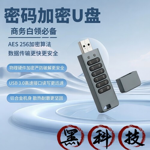 按键加密U盘密码错误10自毁文件