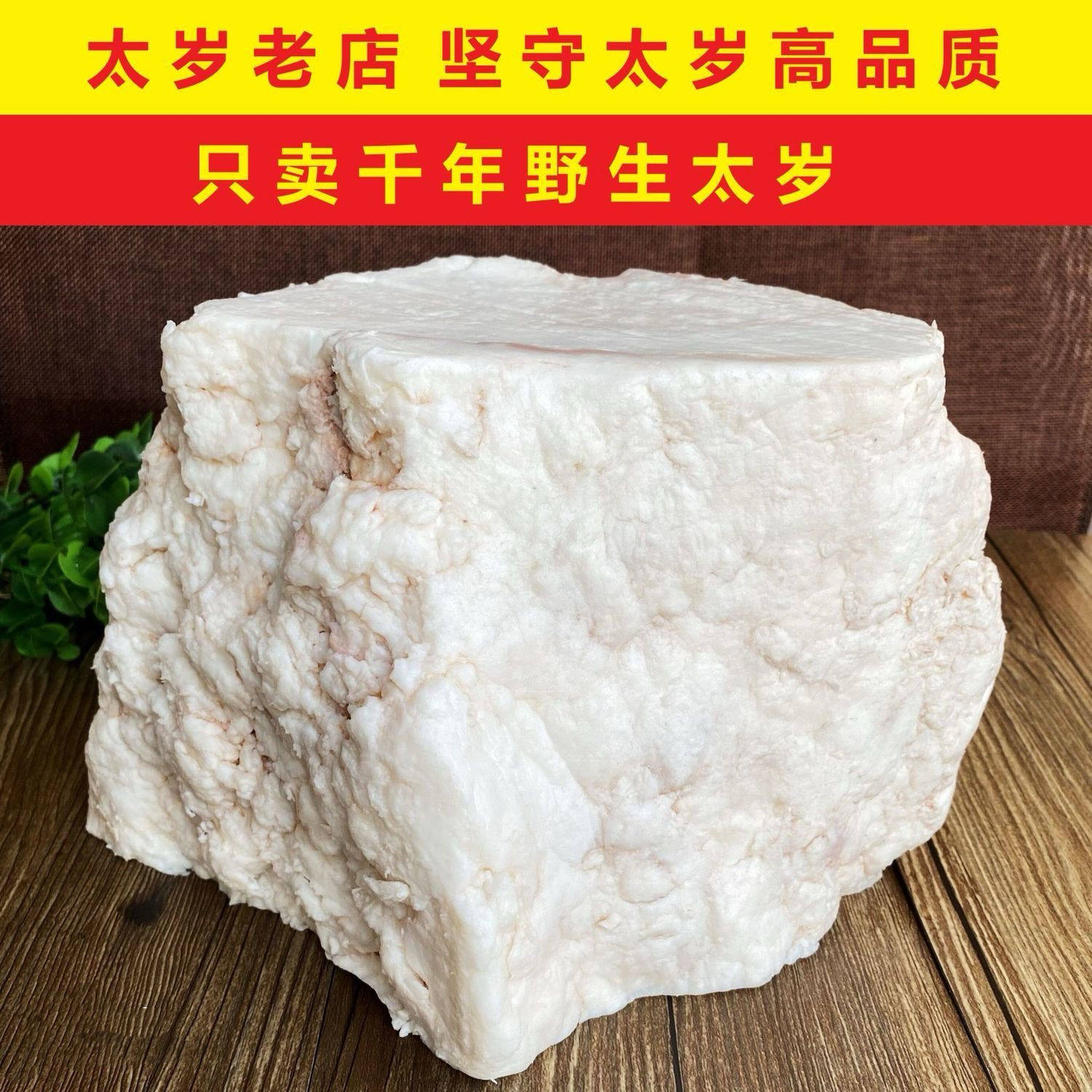 【特级太岁】长白山千年溶洞太岁野生纯白肉石太岁活体泡水肉灵芝