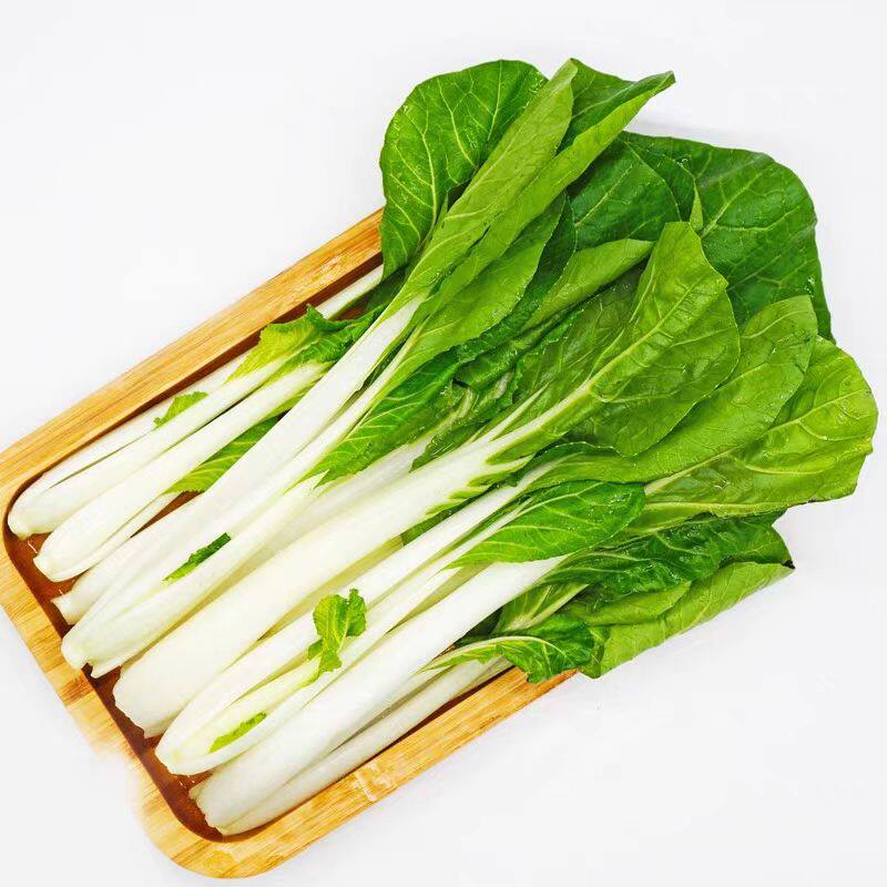 2包方震四季蔬菜种子四季甜脆小白菜青菜籽适合新手小白耐寒菜种