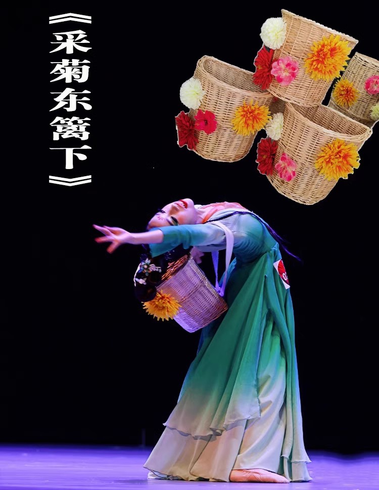 采菊东篱下古典舞演出服女飘逸中国风汉唐独舞大摆裙艺考舞蹈服装