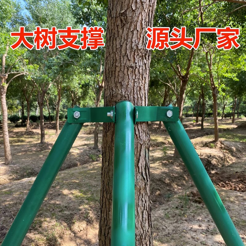广西树木支撑架绿化镀锌金属铁抱箍三脚架烤漆扶树固定杆防歪树撑
