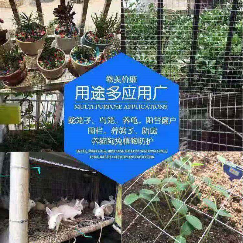 极速大孔镀锌铁丝网玉米网养鸡护w栏网围墙防护隔离铁网5厘米孔电