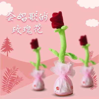 Dancing cactus dancing cactus enchanting tulip twist music