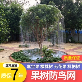 果树专用防鸟网罩枇杷樱桃梨树网家庭防小鸟用的网果园尼龙防护网