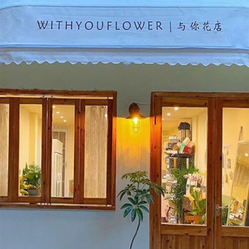 极速新定制门头梯形固定棚加厚店铺遮阳台法式装饰窗户防雨棚西瓜