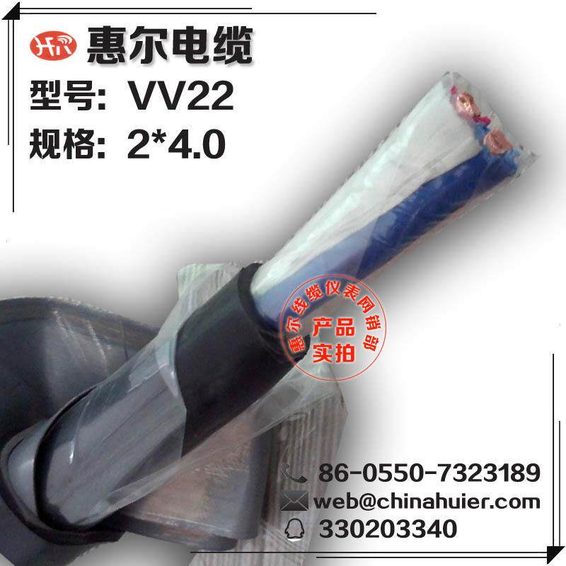 厂家直销 VV22-2*4.0 钢带铠装铜芯力缆