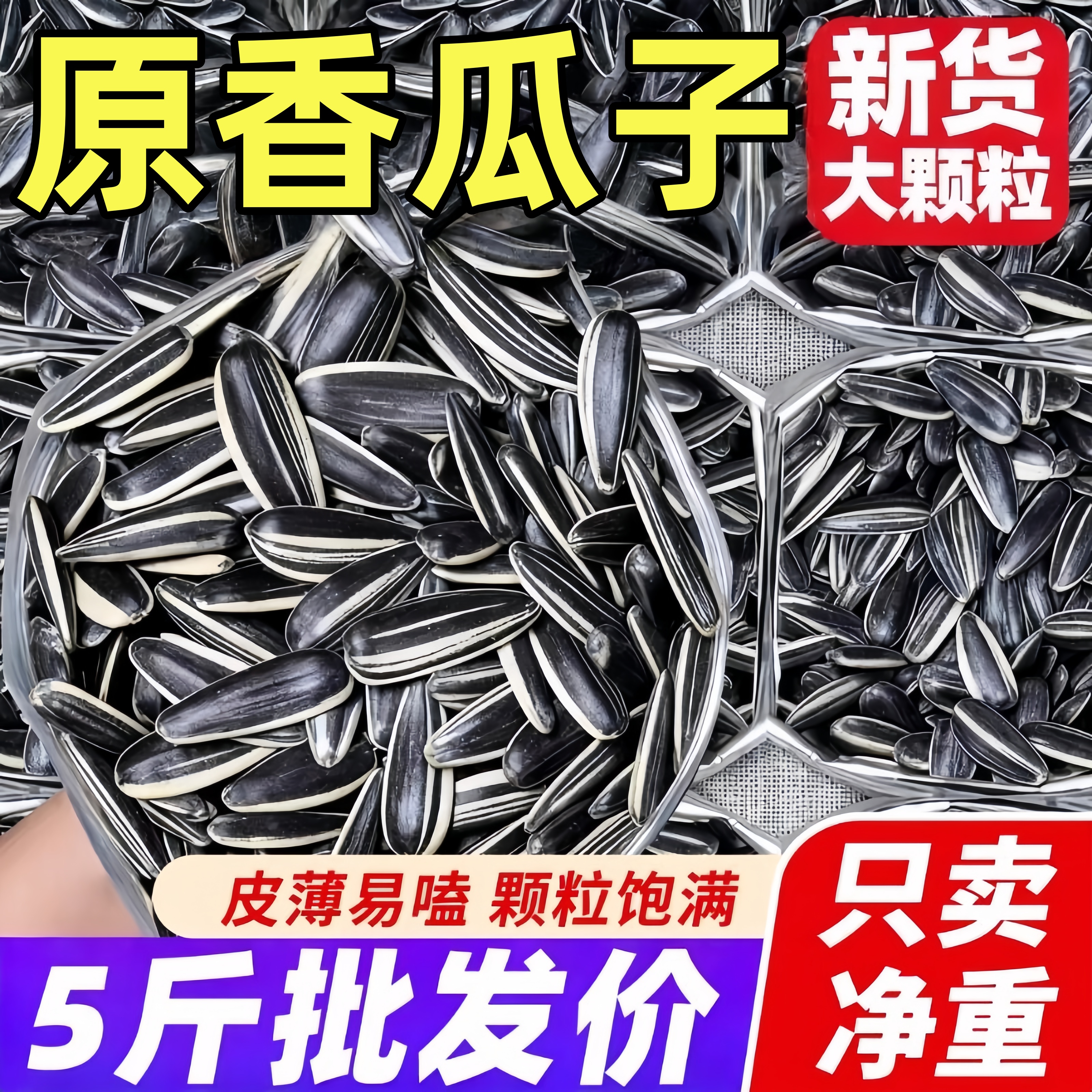 【特价冲量】内蒙古新鲜货生瓜子