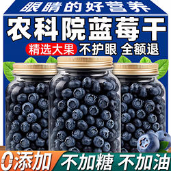 长白山蓝莓干无糖无添加官方旗舰店独立小包装东北特产孕妇零食