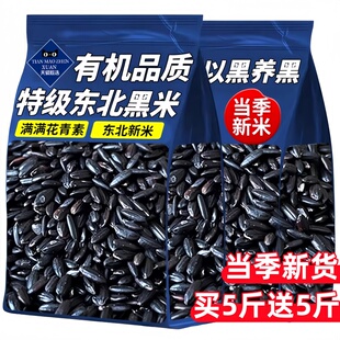 东北黑米新米2025五谷杂粮官方旗舰店正品黑香米孕妇糙米糖尿主食