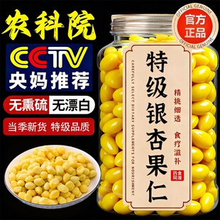 农科院！银杏果白果仁新鲜即食官方旗舰店特级纯天然无硫熏中药材