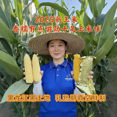 香糯玉米味黑龙江糯玉米常温避光