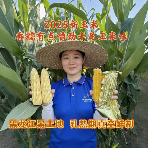 香糯玉米味黑龙江糯玉米常温避光