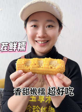 2025[嫩糯鲜香清甜]奥利施262头茬黄糯玉米乳期真空鲜制一点不老