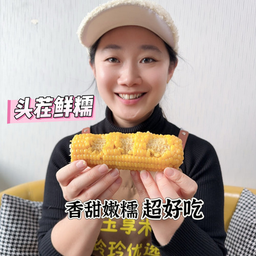 2025[嫩糯鲜香清甜]奥利施262头茬黄糯玉米乳期真空鲜制一点不老