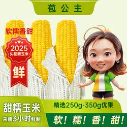 2025[软糯鲜香甜大棒]苞公主甜糯玉米绥化鲜食玉米乳期真空鲜制