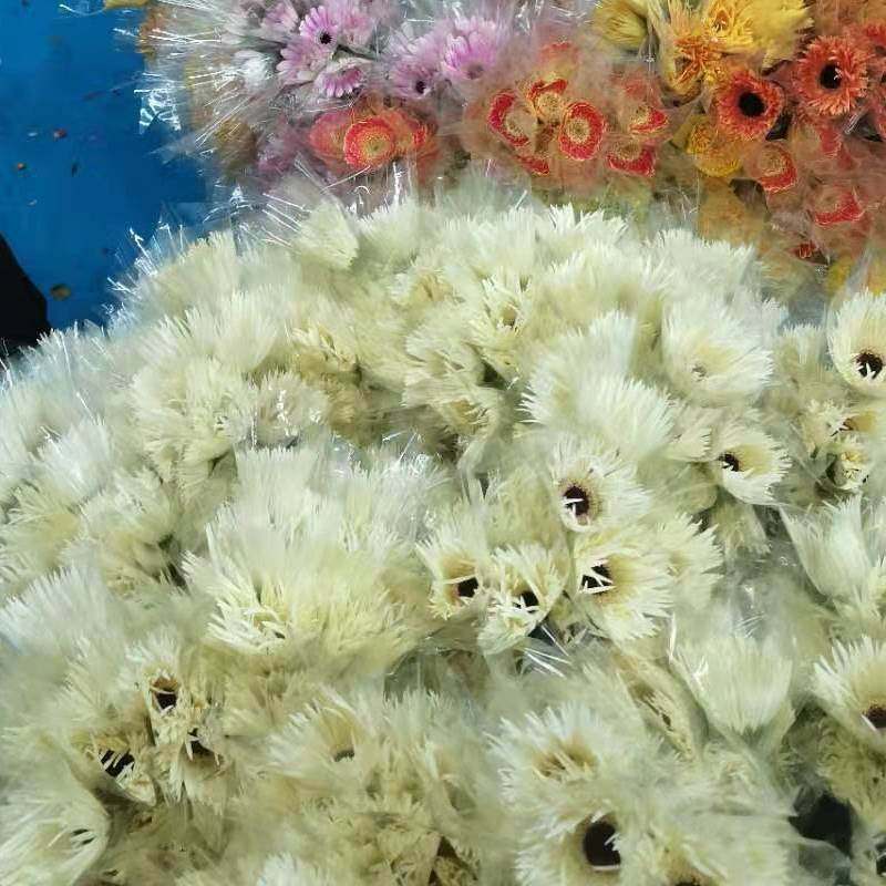 云南昆明基地非洲菊花篮弗朗花非洲菊鲜花直发20枝一扎