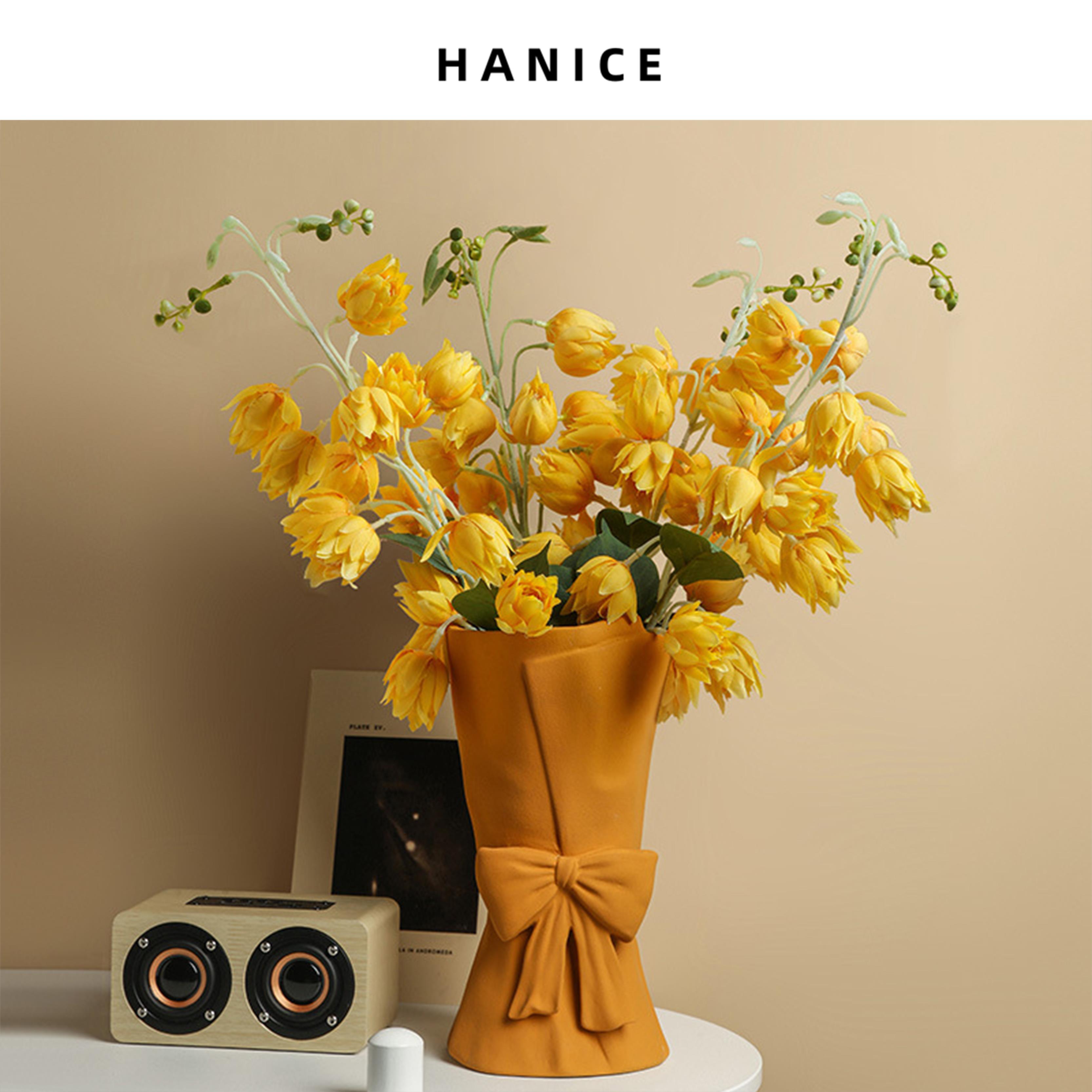 HANICE北欧ins陶瓷花瓶莫兰迪水培插花器餐桌电视柜台面装饰摆件