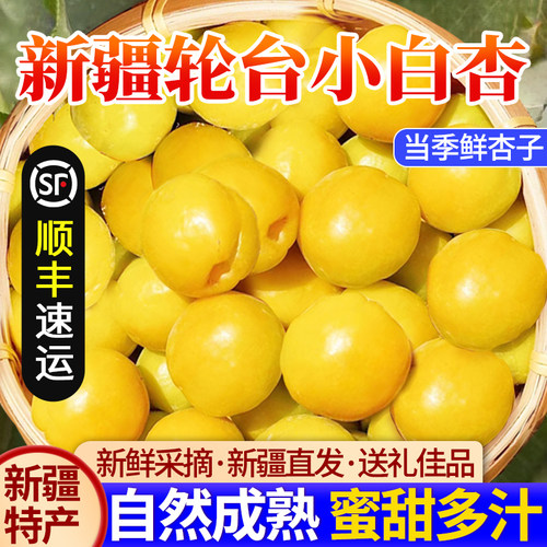 新疆特产轮台小白杏新鲜水果甜杏子正宗白杏现摘应季鲜杏胜小红杏