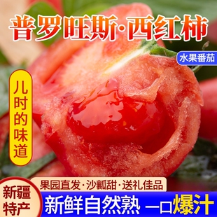 新疆特产普罗旺斯沙瓤西红柿新鲜自然熟生吃水果番茄非草莓柿子5