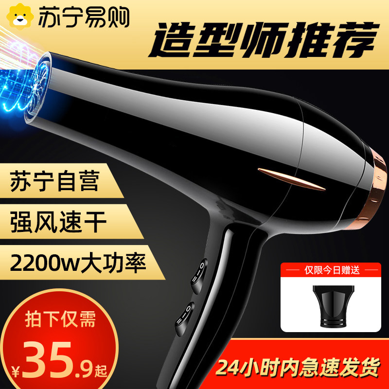 早鱼电吹风机家用大功率负离子护发大风力发廊速干理发店专用风筒图片