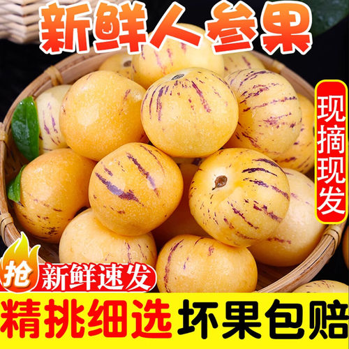 云南石林人参果9斤圆果当季新鲜孕妇水果黄肉人生果整箱大果包邮