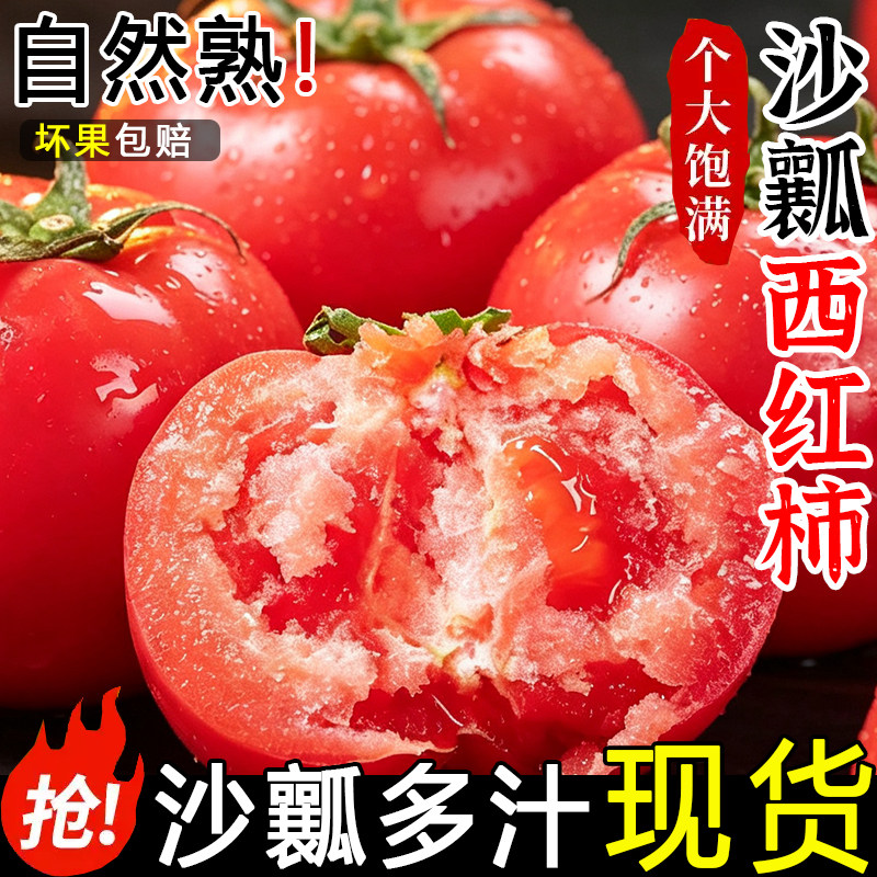四川攀枝花现摘老品种老味道沙瓤番茄新鲜生吃的蔬菜自然熟西红柿