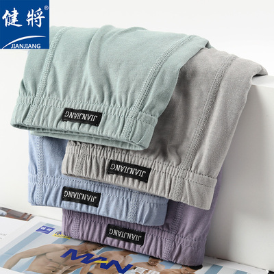 健将男士平角内裤100%纯棉裤衩抗菌纯色简约中腰男生裤衩全棉裤头