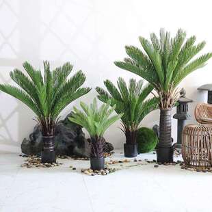 仿真植物苏铁盆栽室内造景装饰绿植盆景仿真人造假铁树