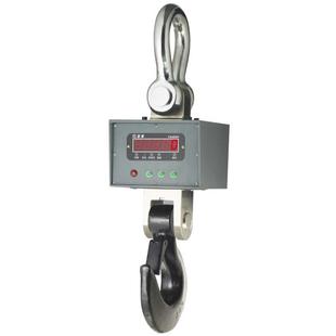 蓝箭XZ-D(B)AE直视式电子吊称