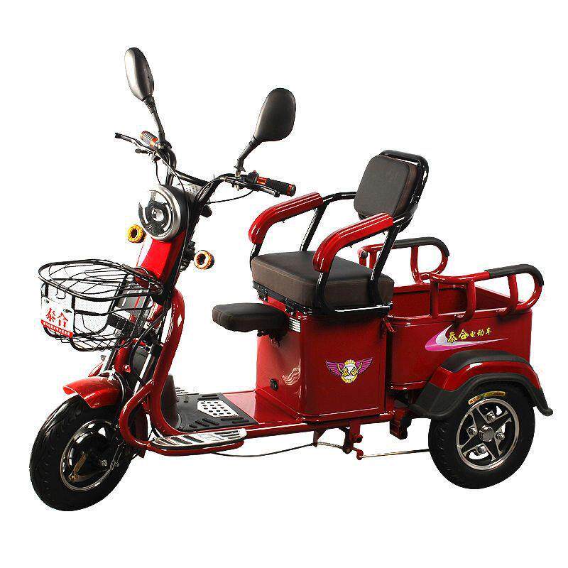 双人电动三轮车家用新款小型接送孩子老人老年拉货载重王电瓶三轮