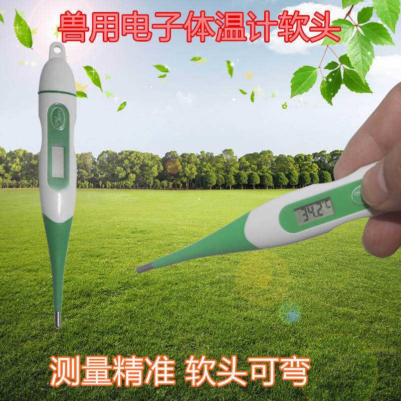 新品兽用体温枪体温测温仪电子温度计猪用体温表动物测温枪鸡用高