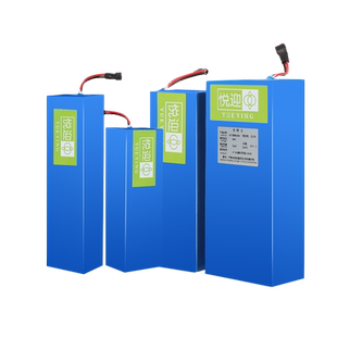 折叠电动车电芯内置代驾车通用三元锂电池48V25AH可定制尺寸