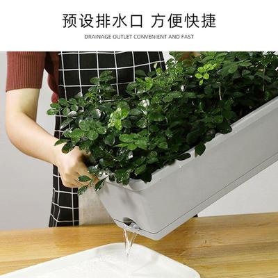 长方形花盆霍伦盆多肉植物塑料种菜家庭阳台长条种植盆花槽大号