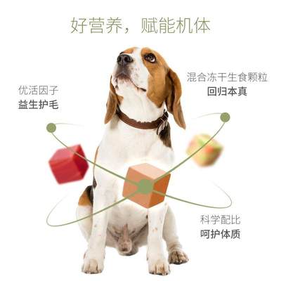 伯纳天纯生鲜狗粮鸭肉梨金毛边牧成犬幼犬通用型全价冻干犬粮12kg