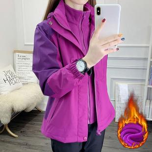 紫色冲锋衣外套女冬季2024新款加绒加厚中老年三合一可拆卸抓绒衣