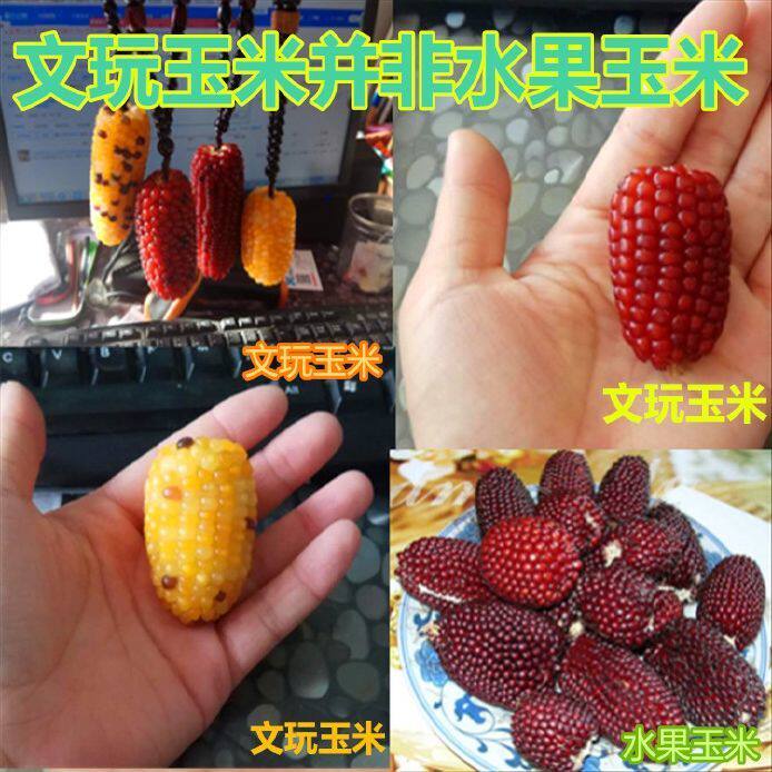 速发文人玉品盘他手把件手盘物件把玩件手上盘的东西摆件送玩饰米