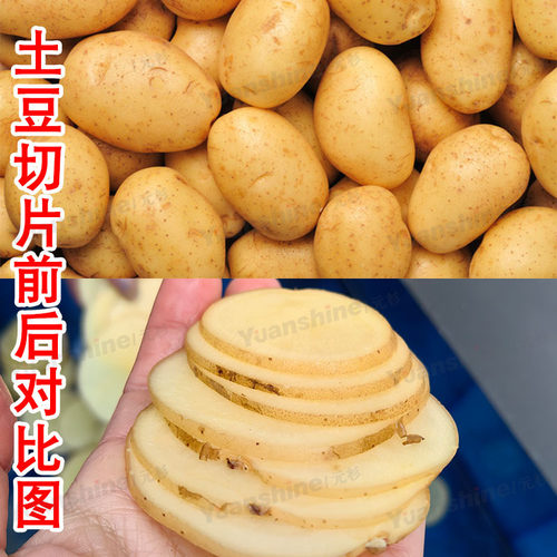 厂家现货全自动果蔬切片机冷冻橘子切片机可调节凤梨切片机