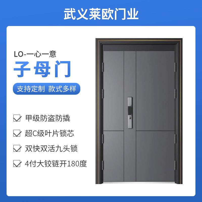 甲级防火入户门防盗防撬单门简约家用公寓门钢制门隔音门出租屋门