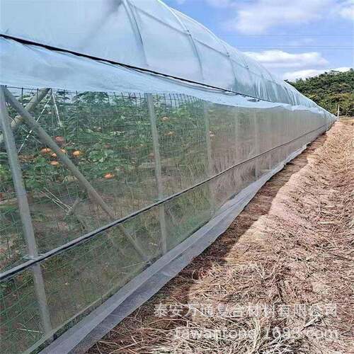 现货棚供白应蔬菜大防虫网 6厚0BDZ目加PE色园林用防虫网