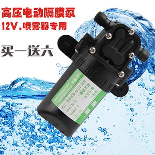 水泵家用自吸抽水泵12v小微型高压洗车抽水机农用电动喷雾打药器