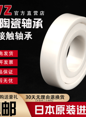 氧化锆陶瓷角接触轴承7004/7005 7006/7007/7008/7009/7010CE