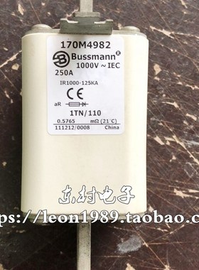 美国EATON熔断器 BUSSMANN保险丝 170M4982 SCB4239 250A 1000V
