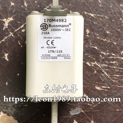 美国EATON熔断器 BUSSMANN保险丝 170M4982 SCB4239 250A 1000V
