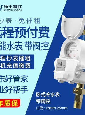 施王物联远程NB-InOT预付费冷水表高精度深度防水远程抄表智能水