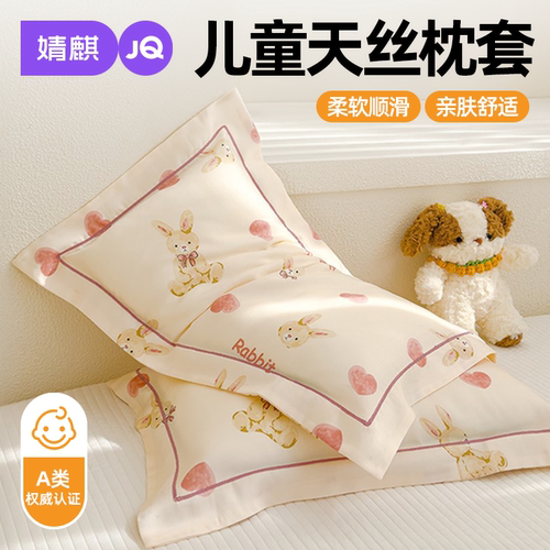 A类母婴级天丝枕套防头油单个装